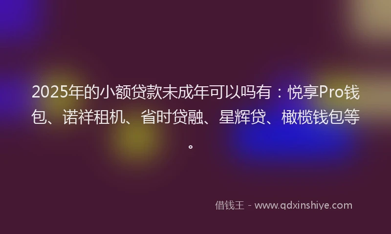 2025年的小额贷款未成年可以吗有：悦享Pro钱包、诺祥租机、省时贷融、星辉贷、橄榄钱包等。