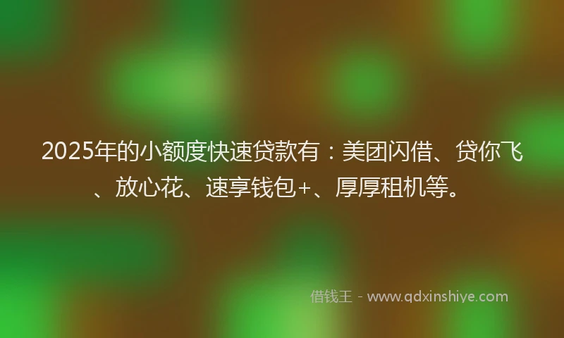 2025年的小额度快速贷款有：美团闪借、贷你飞、放心花、速享钱包+、厚厚租机等。