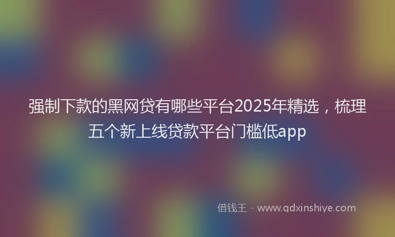 强制下款的黑网贷有哪些平台2025年精选，梳理五个新上线贷款平台门槛低app