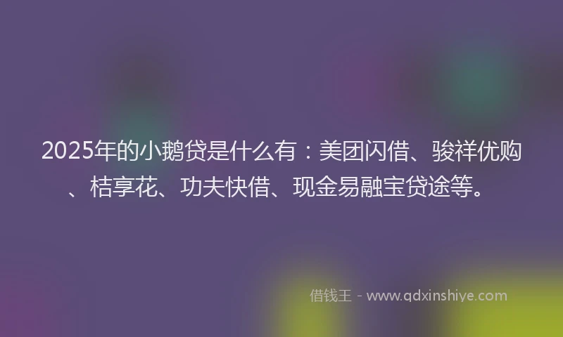 2025年的小鹅贷是什么有：美团闪借、骏祥优购、桔享花、功夫快借、现金易融宝贷途等。