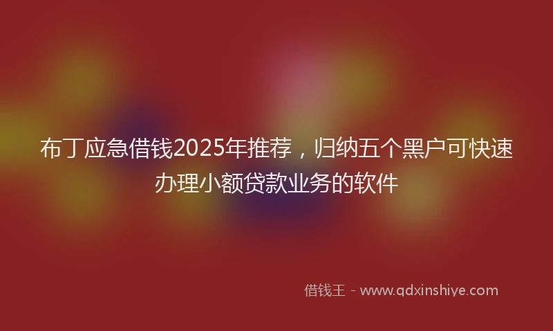 布丁应急借钱2025年推荐，归纳五个黑户可快速办理小额贷款业务的软件