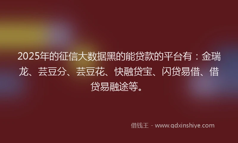2025年的征信大数据黑的能贷款的平台有：金瑞龙、芸豆分、芸豆花、快融贷宝、闪贷易借、借贷易融途等。