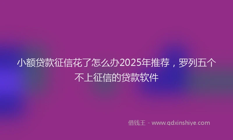 小额贷款征信花了怎么办2025年推荐，罗列五个不上征信的贷款软件