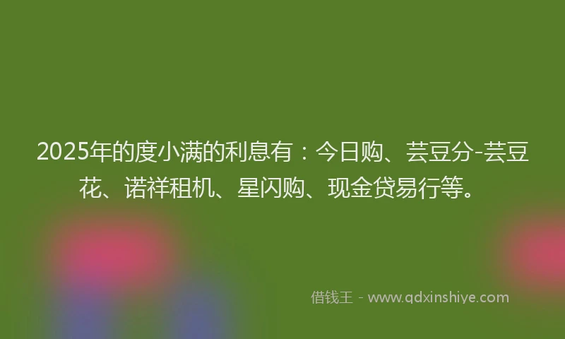 2025年的度小满的利息有：今日购、芸豆分-芸豆花、诺祥租机、星闪购、现金贷易行等。