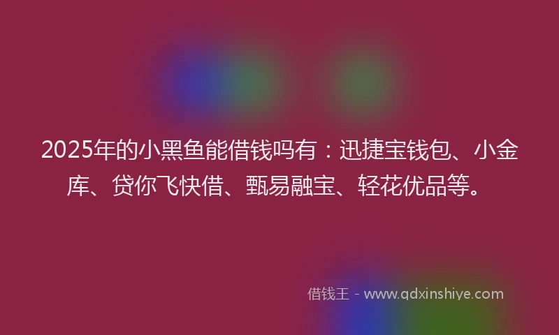 2025年的小黑鱼能借钱吗有：迅捷宝钱包、小金库、贷你飞快借、甄易融宝、轻花优品等。