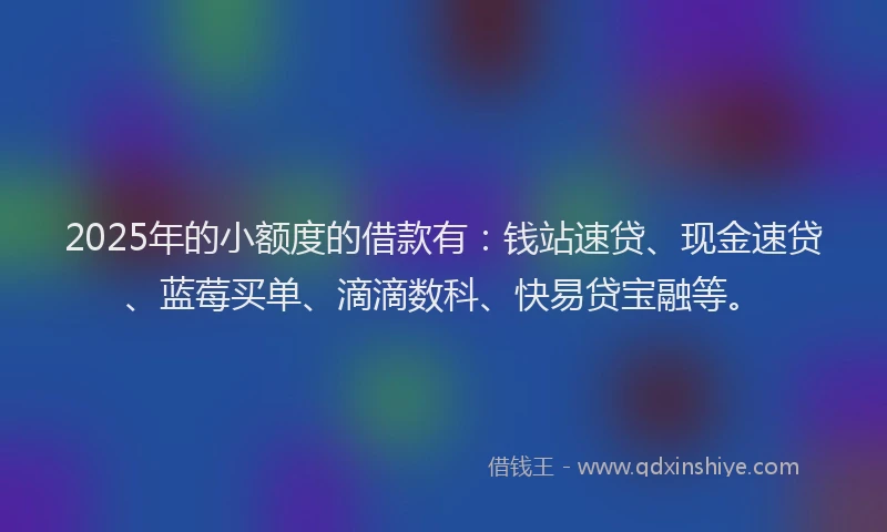 2025年的小额度的借款有：钱站速贷、现金速贷、蓝莓买单、滴滴数科、快易贷宝融等。
