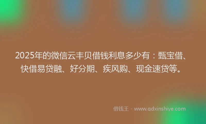 2025年的微信云丰贝借钱利息多少有：甄宝借、快借易贷融、好分期、疾风购、现金速贷等。
