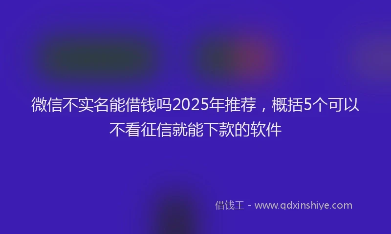 微信不实名能借钱吗2025年推荐，概括5个可以不看征信就能下款的软件