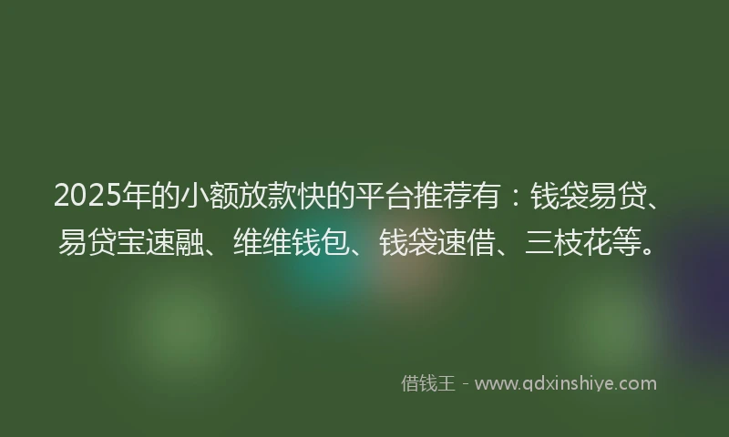 2025年的小额放款快的平台推荐有：钱袋易贷、易贷宝速融、维维钱包、钱袋速借、三枝花等。