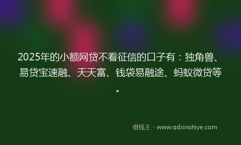 2025年的小额网贷不看征信的口子有：独角兽、易贷宝速融、天天富、钱袋易融途、蚂蚁微贷等。