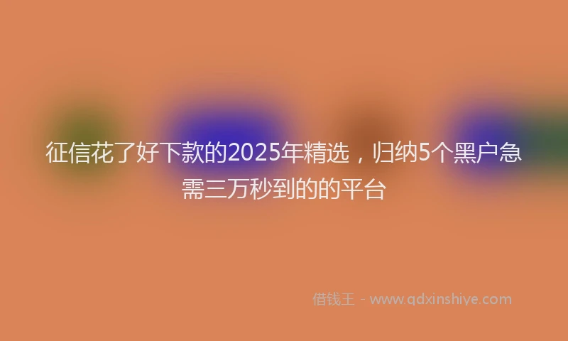 征信花了好下款的2025年精选，归纳5个黑户急需三万秒到的的平台