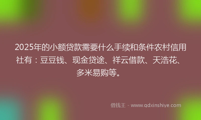 2025年的小额贷款需要什么手续和条件农村信用社有：豆豆钱、现金贷途、祥云借款、天浩花、多米易购等。