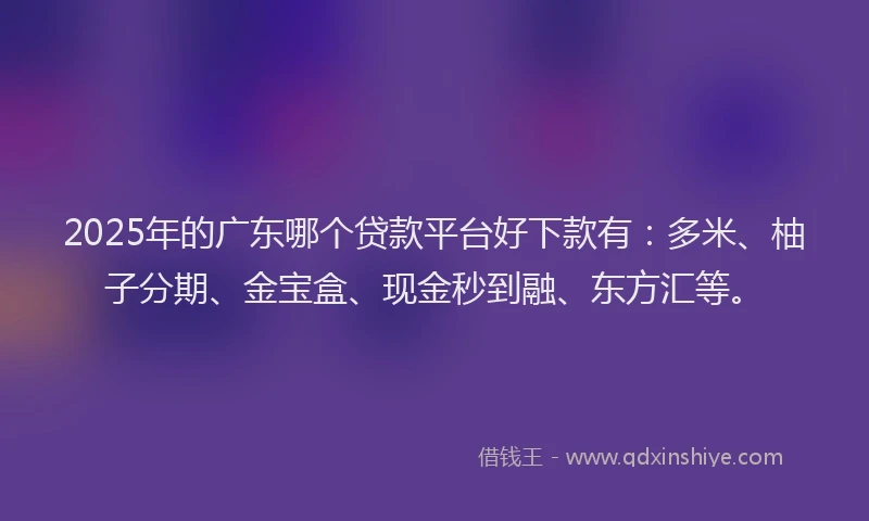 2025年的广东哪个贷款平台好下款有：多米、柚子分期、金宝盒、现金秒到融、东方汇等。