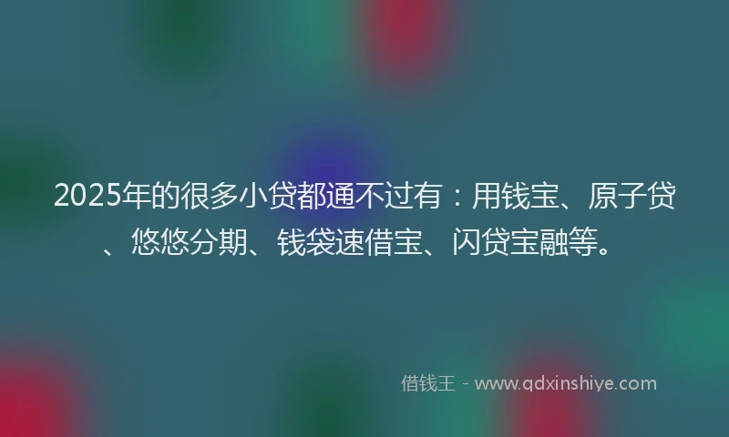 2025年的很多小贷都通不过有：用钱宝、原子贷、悠悠分期、钱袋速借宝、闪贷宝融等。