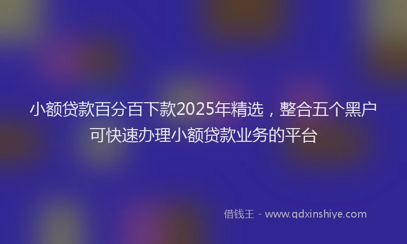 小额贷款百分百下款2025年精选，整合五个黑户可快速办理小额贷款业务的平台