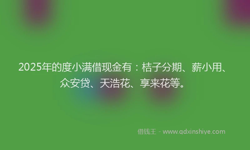 2025年的度小满借现金有：桔子分期、薪小用、众安贷、天浩花、享来花等。