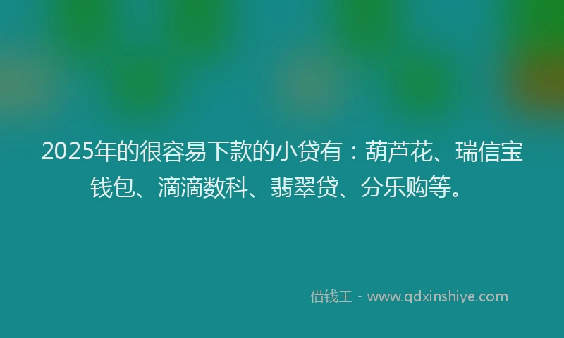 2025年的很容易下款的小贷有：葫芦花、瑞信宝钱包、滴滴数科、翡翠贷、分乐购等。