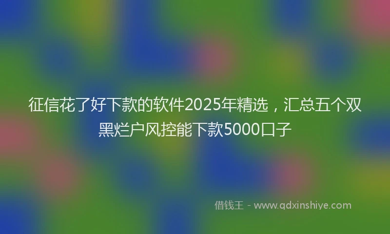 征信花了好下款的软件2025年精选，汇总五个双黑烂户风控能下款5000口子