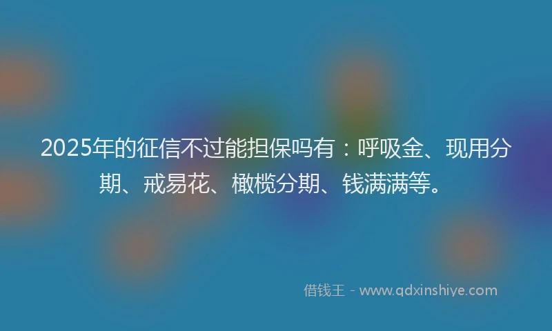 2025年的征信不过能担保吗有：呼吸金、现用分期、戒易花、橄榄分期、钱满满等。
