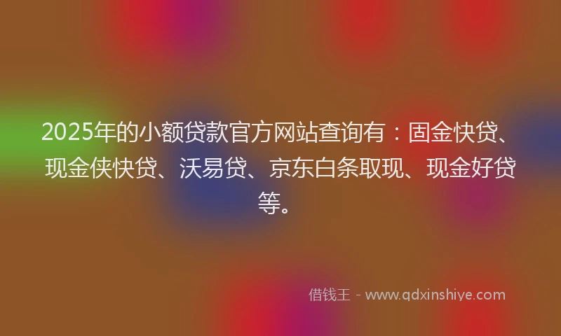 2025年的小额贷款官方网站查询有：固金快贷、现金侠快贷、沃易贷、京东白条取现、现金好贷等。