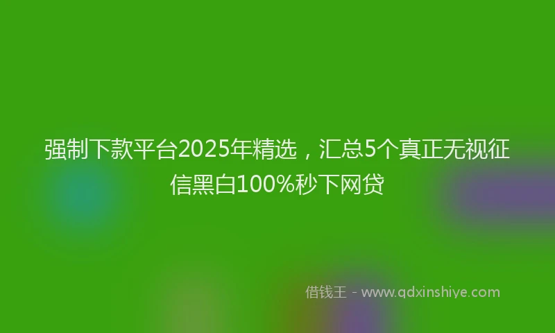 强制下款平台2025年精选，汇总5个真正无视征信黑白100%秒下网贷