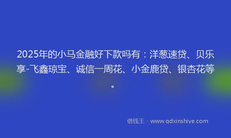 2025年的小马金融好下款吗有：洋葱速贷、贝乐享-飞鑫琼宝、诚信一周花、小金鹿贷、银杏花等。