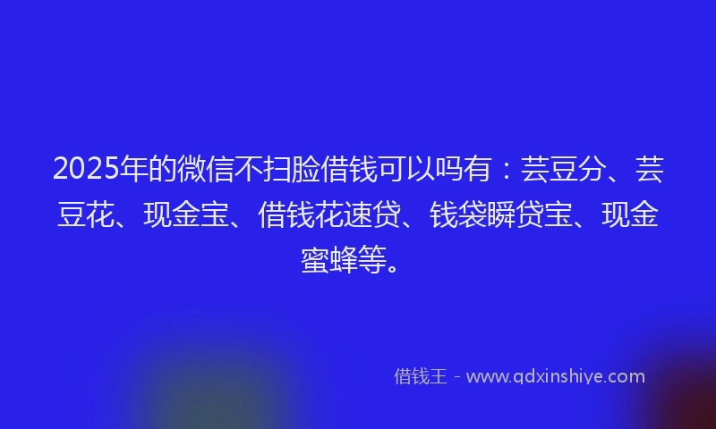 2025年的微信不扫脸借钱可以吗有：芸豆分、芸豆花、现金宝、借钱花速贷、钱袋瞬贷宝、现金蜜蜂等。