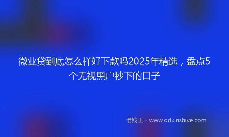 微业贷到底怎么样好下款吗2025年精选，盘点5个无视黑户秒下的口子