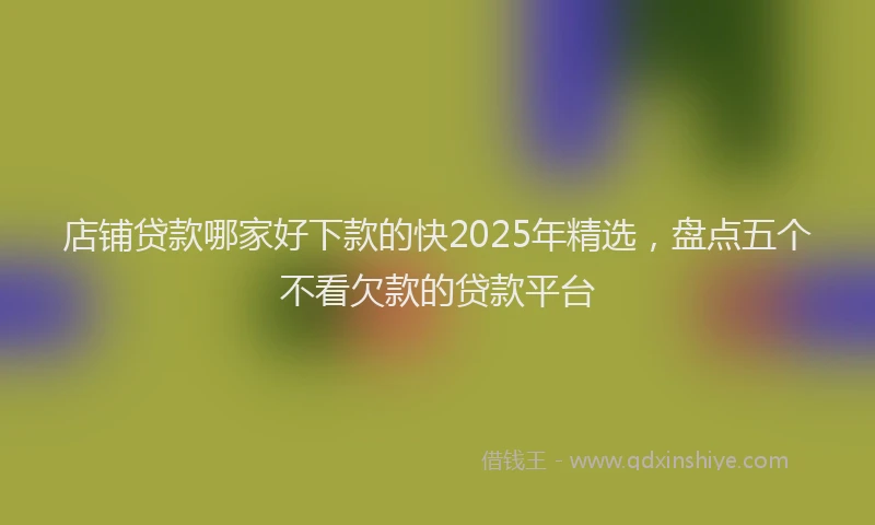 店铺贷款哪家好下款的快2025年精选，盘点五个不看欠款的贷款平台