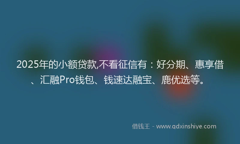 2025年的小额贷款,不看征信有：好分期、惠享借、汇融Pro钱包、钱速达融宝、鹿优选等。