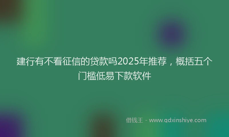 建行有不看征信的贷款吗2025年推荐，概括五个门槛低易下款软件
