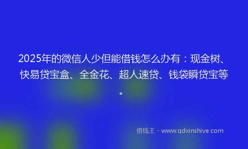 2025年的微信人少但能借钱怎么办有：现金树、快易贷宝盒、全金花、超人速贷、钱袋瞬贷宝等。