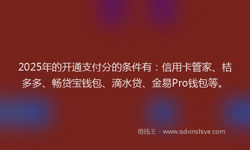 2025年的开通支付分的条件有：信用卡管家、桔多多、畅贷宝钱包、滴水贷、金易Pro钱包等。