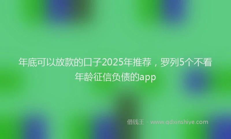 年底可以放款的口子2025年推荐，罗列5个不看年龄征信负债的app