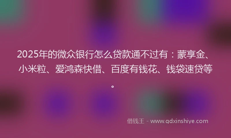 2025年的微众银行怎么贷款通不过有：蒙享金、小米粒、爱鸿森快借、百度有钱花、钱袋速贷等。