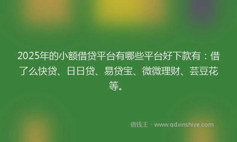 2025年的小额借贷平台有哪些平台好下款有：借了么快贷、日日贷、易贷宝、微微理财、芸豆花等。