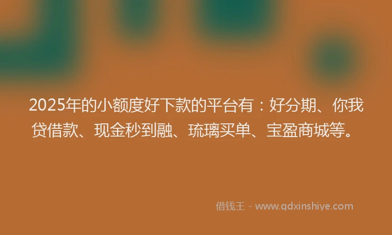 2025年的小额度好下款的平台有：好分期、你我贷借款、现金秒到融、琉璃买单、宝盈商城等。