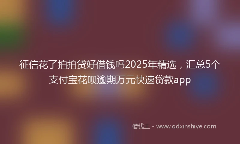 征信花了拍拍贷好借钱吗2025年精选，汇总5个支付宝花呗逾期万元快速贷款app