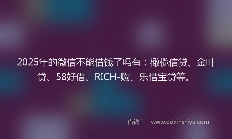 2025年的微信不能借钱了吗有：橄榄信贷、金叶贷、58好借、RICH-购、乐借宝贷等。