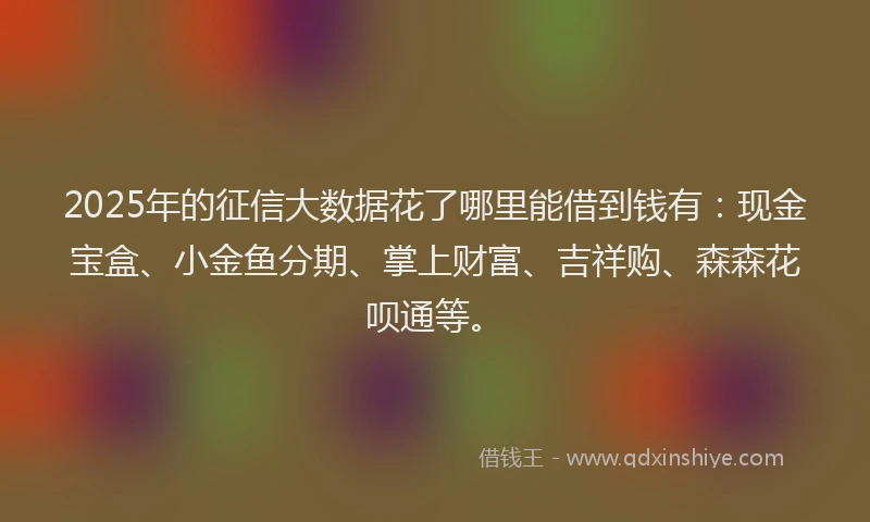 2025年的征信大数据花了哪里能借到钱有：现金宝盒、小金鱼分期、掌上财富、吉祥购、森森花呗通等。