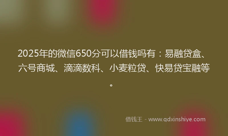 2025年的微信650分可以借钱吗有：易融贷盒、六号商城、滴滴数科、小麦粒贷、快易贷宝融等。