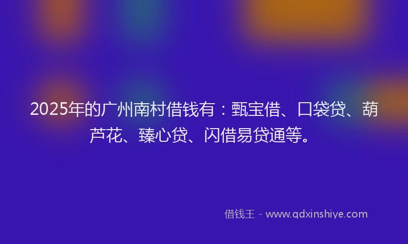 2025年的广州南村借钱有：甄宝借、口袋贷、葫芦花、臻心贷、闪借易贷通等。