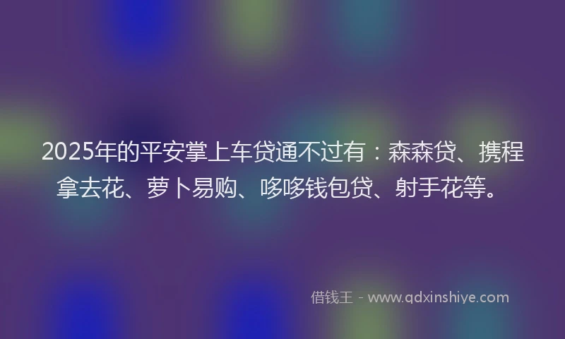 2025年的平安掌上车贷通不过有：森森贷、携程拿去花、萝卜易购、哆哆钱包贷、射手花等。