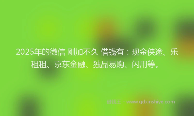 2025年的微信 刚加不久 借钱有：现金侠途、乐租租、京东金融、独品易购、闪用等。