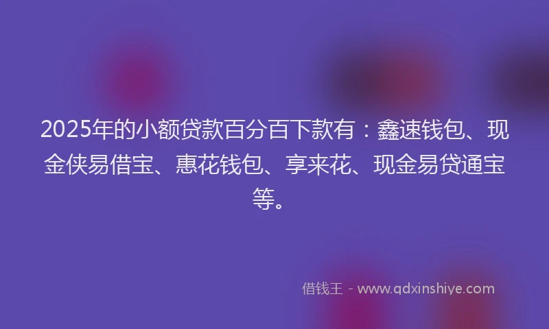 2025年的小额贷款百分百下款有：鑫速钱包、现金侠易借宝、惠花钱包、享来花、现金易贷通宝等。