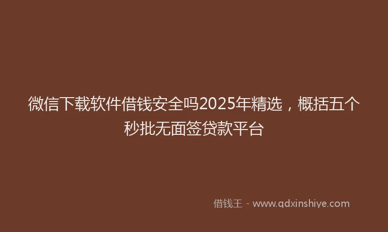 微信下载软件借钱安全吗2025年精选，概括五个秒批无面签贷款平台