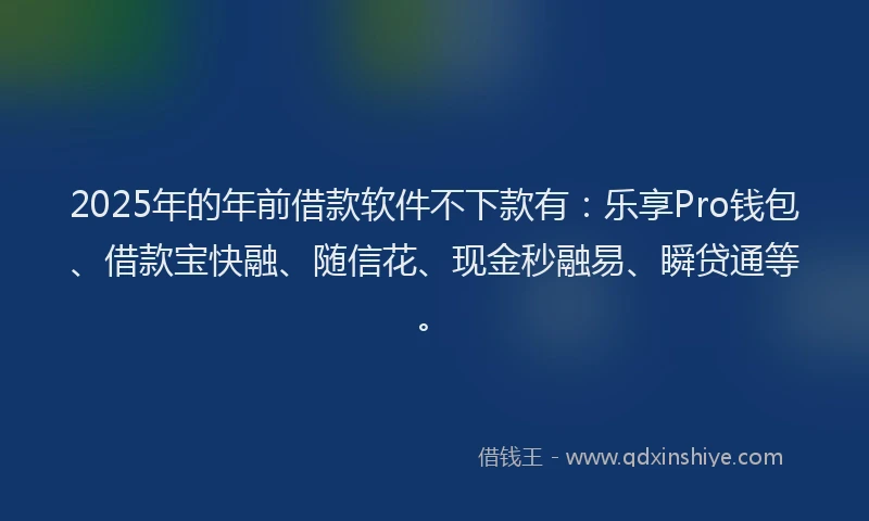 2025年的年前借款软件不下款有：乐享Pro钱包、借款宝快融、随信花、现金秒融易、瞬贷通等。