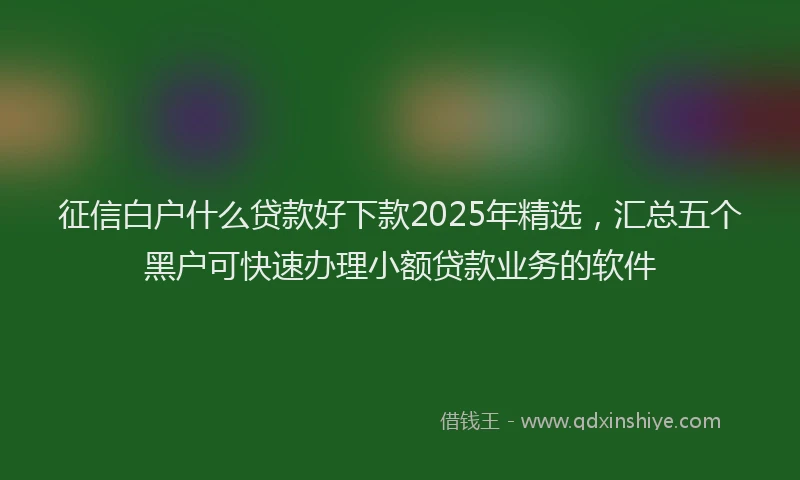 征信白户什么贷款好下款2025年精选，汇总五个黑户可快速办理小额贷款业务的软件