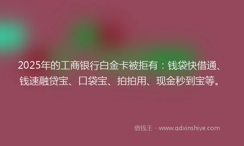 2025年的工商银行白金卡被拒有：钱袋快借通、钱速融贷宝、口袋宝、拍拍用、现金秒到宝等。