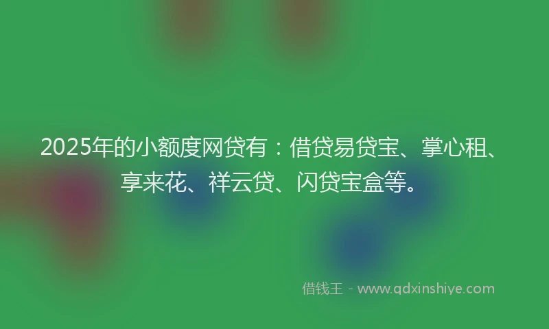 2025年的小额度网贷有：借贷易贷宝、掌心租、享来花、祥云贷、闪贷宝盒等。